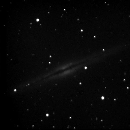 NGC891
